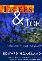 Tigers & Ice by Hoagland